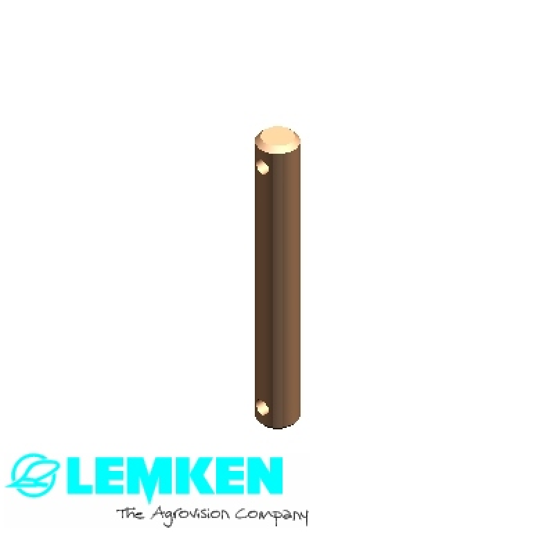 Bolzen 8x60 2xD3 Zn