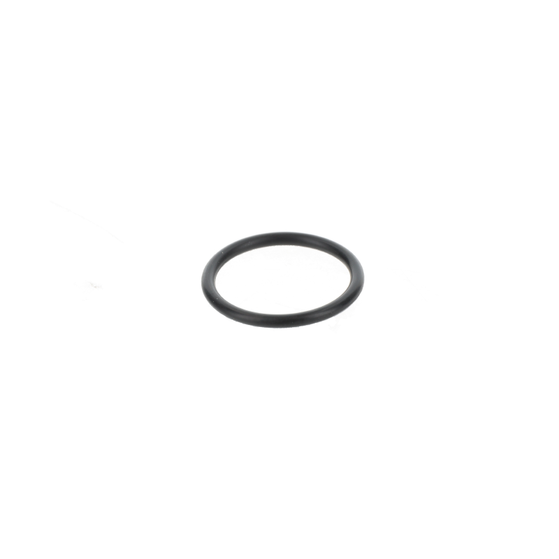 AGCO O-RING