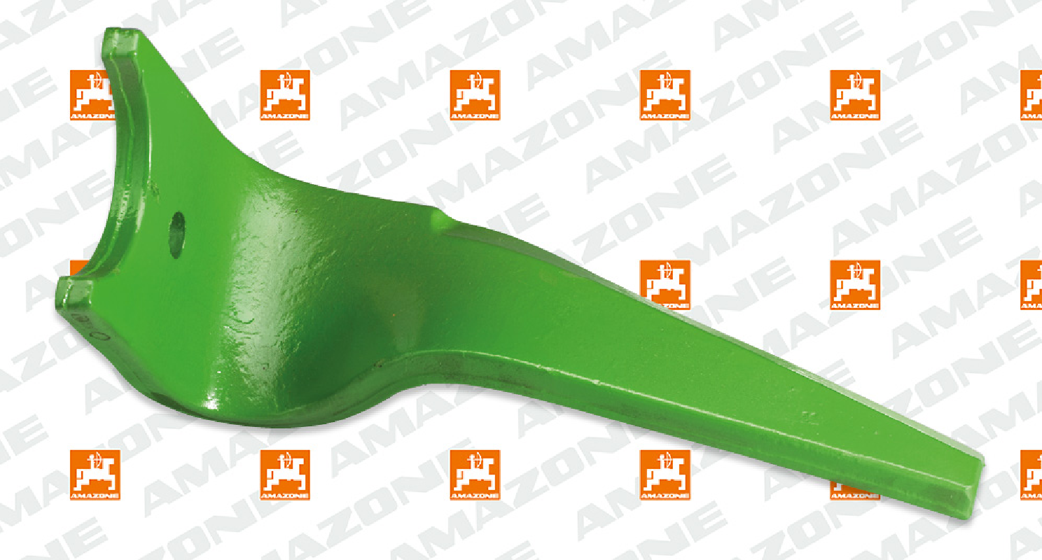Amazone Kreiseleggenzinken, rechts
