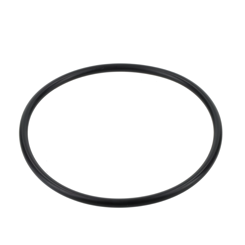 Fendt O-Ring