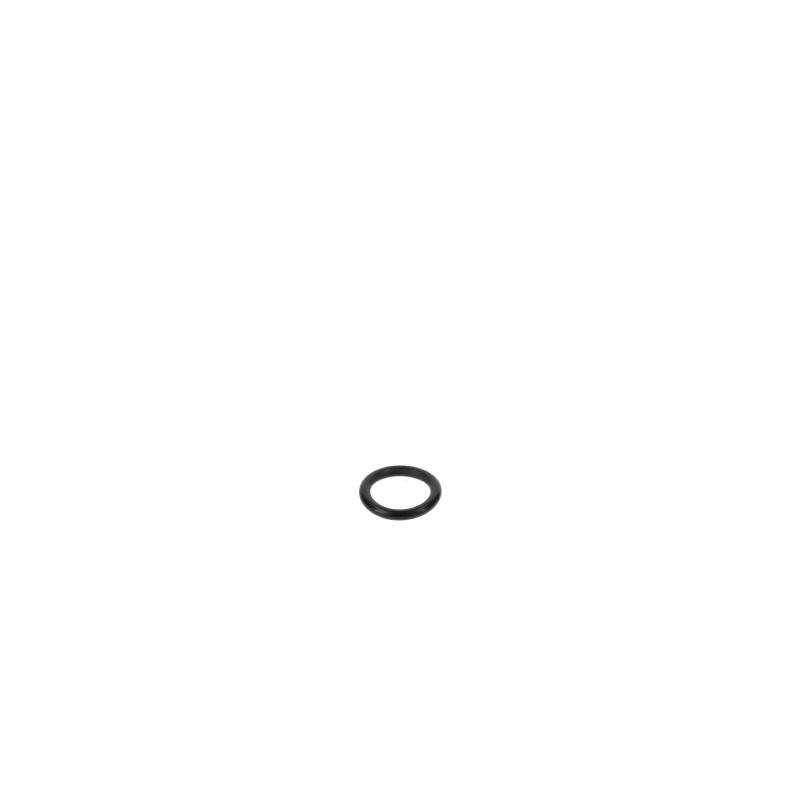 AGCO O-RING