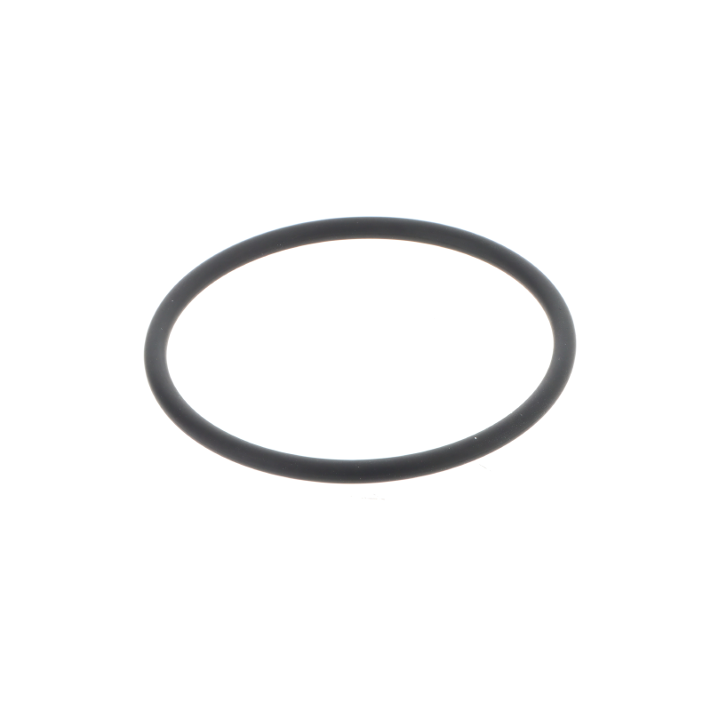 Fendt O-RING
