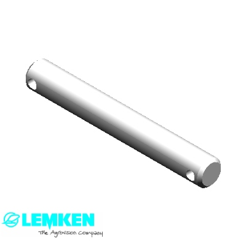 Bolzen D28x174/205 2xD10 Zn