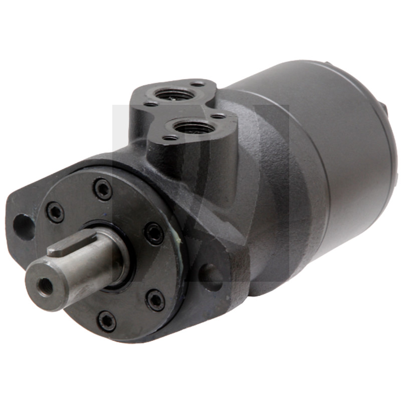 Motor BMR 80 D=25mm mit High-Pressure Dichtung