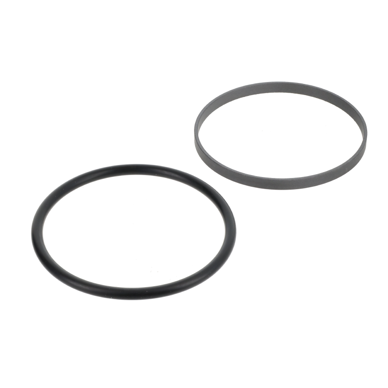 AGCO Dichtring