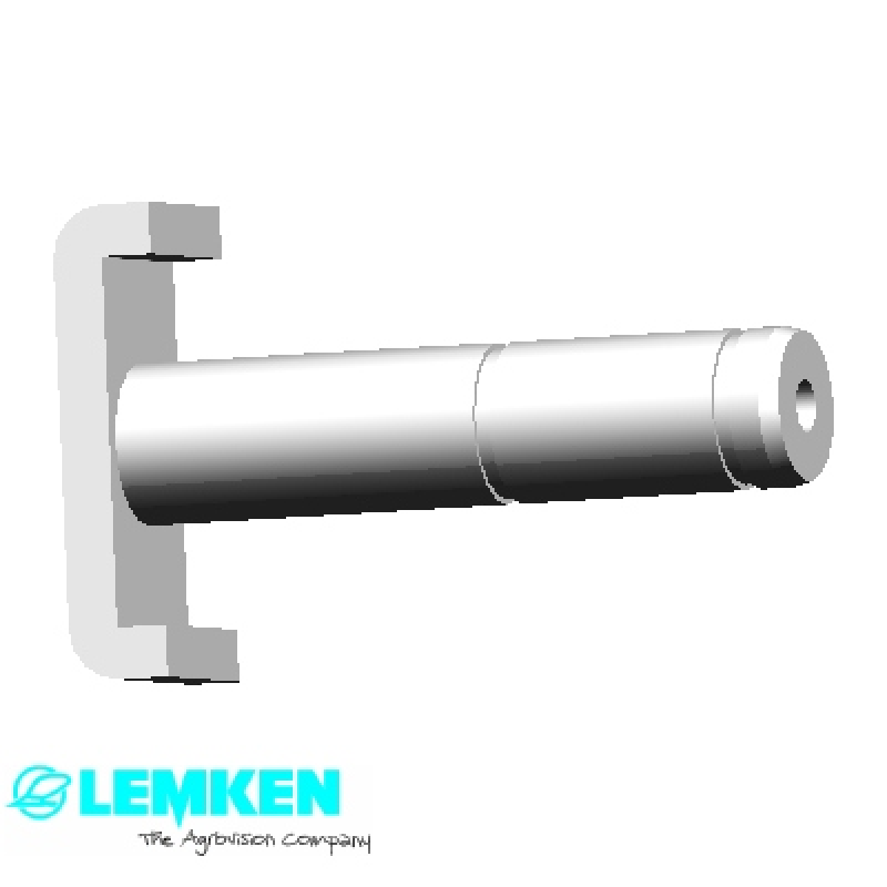 Bolzen mit Verdrehsicherung D25x109 U-57