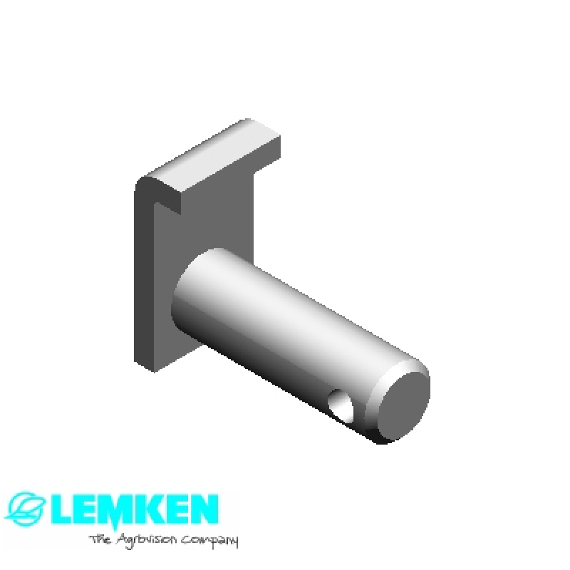 Bolzen mit Verdrehsicherung D20/31x47/60