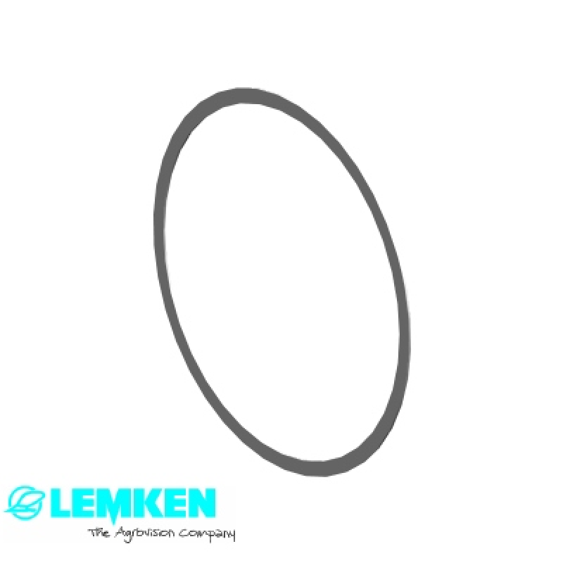 Passscheibe 175x190x1,0