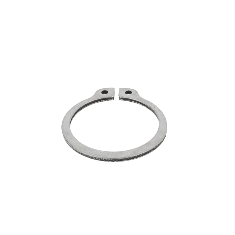 Fendt Sicherungsring