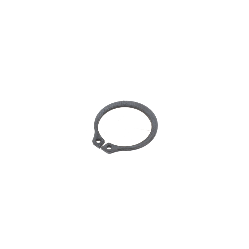 AGCO Sicherungsring
