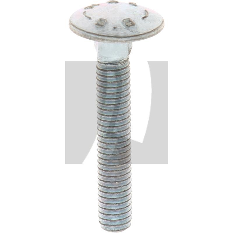 Schlossschraube M6x35 DIN 603, VPE 50