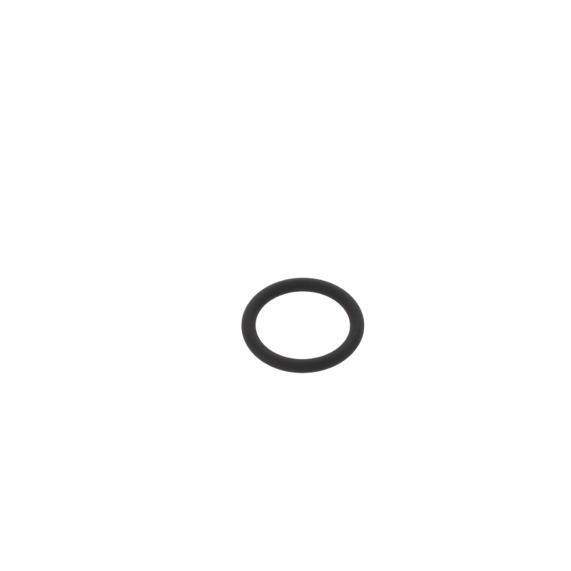 AGCO O-RING