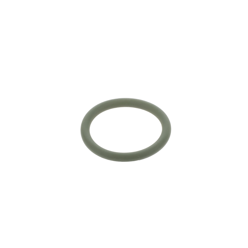 AGCO Dichtring