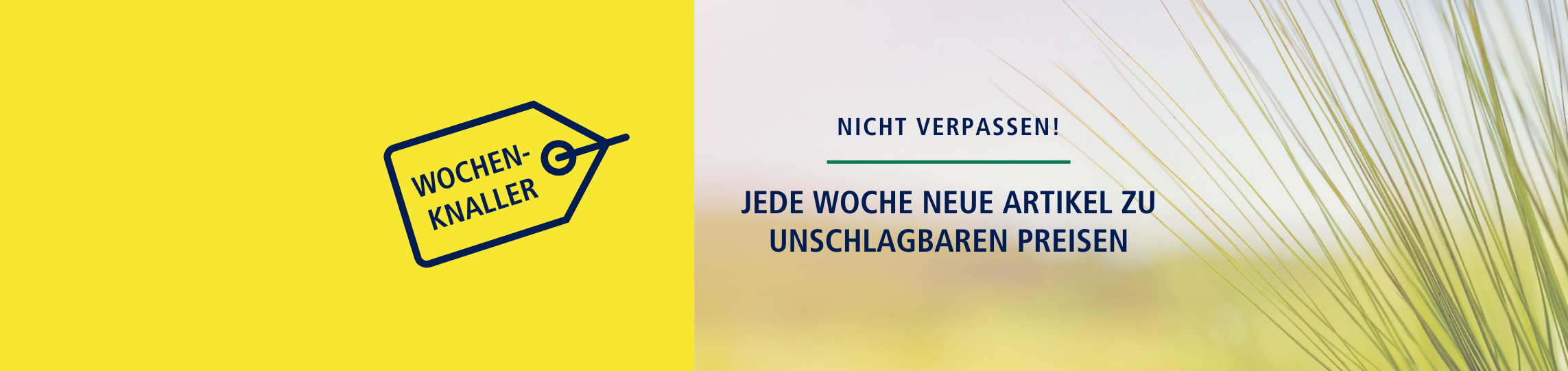 Gelbe Fläche mit Ähre und Hinweis: Wochenknaller – jede Woche neue Agrarartikel zu Top-Preisen.