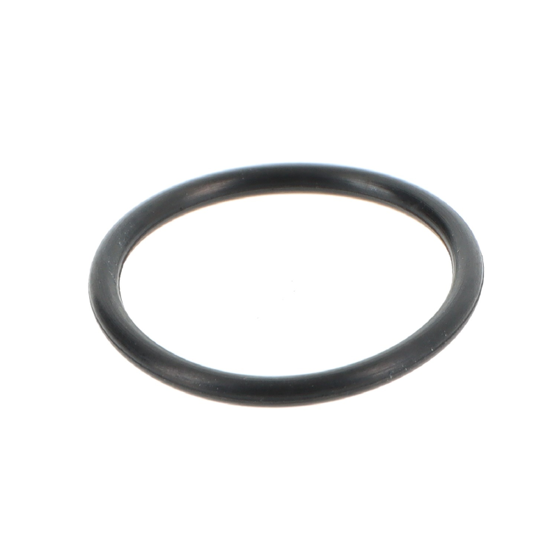AGCO O-RING