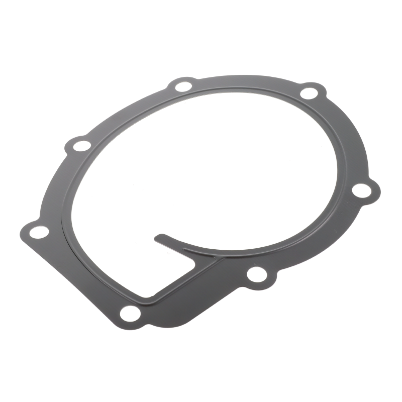 AGCO DICHTUNG