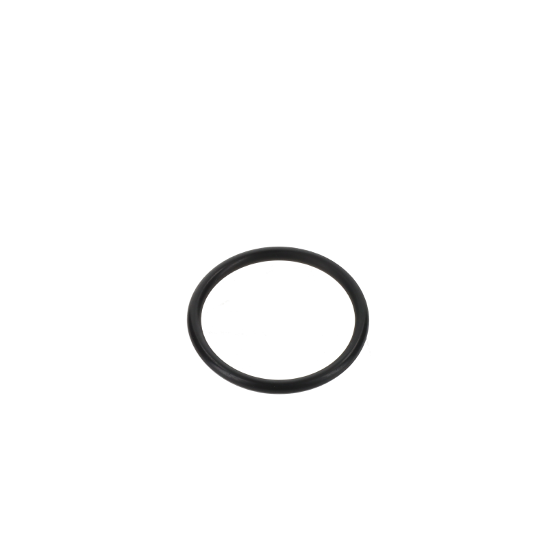 AGCO O-RING