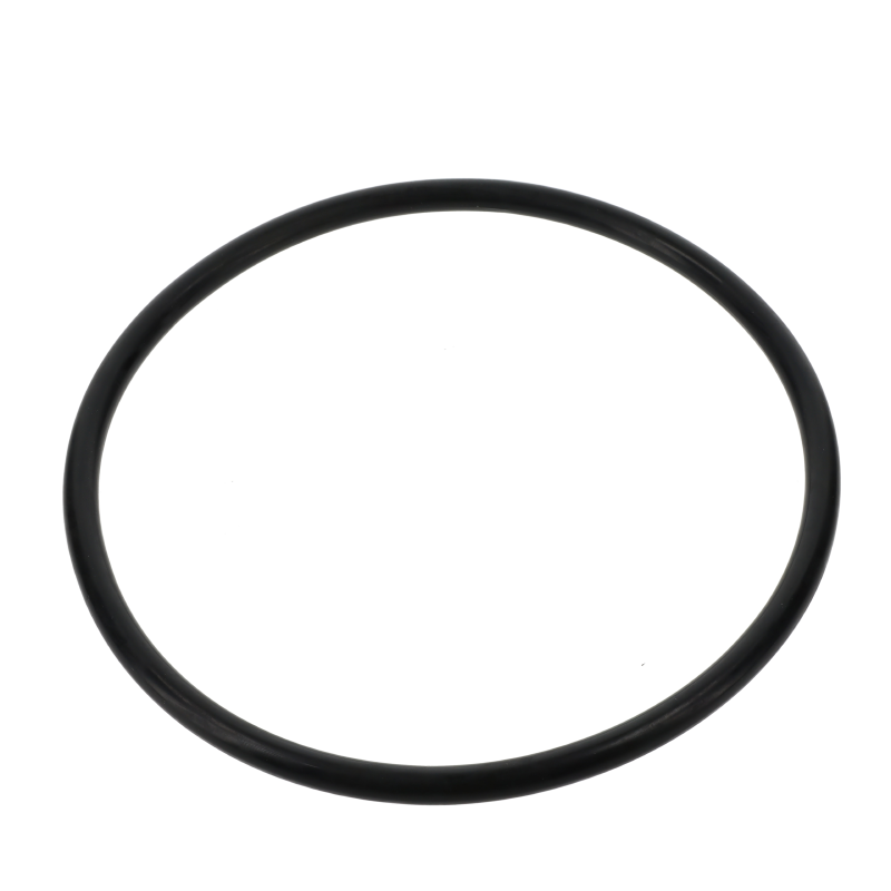Fendt O-RING