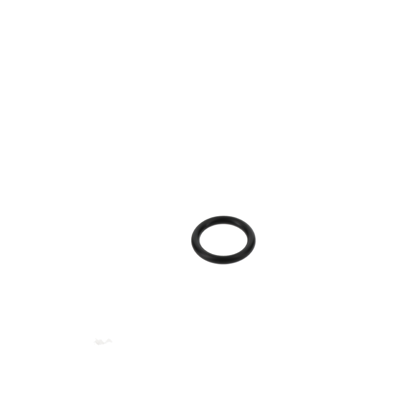 AGCO O-RING