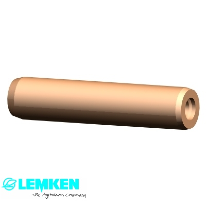 Zylinderstift 12M6x55 DIN7979