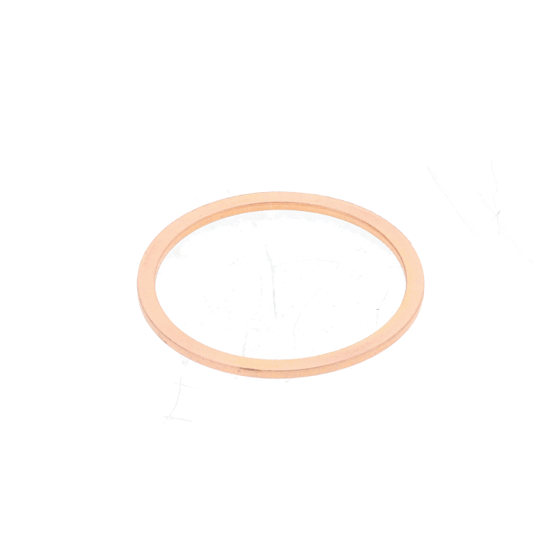 AGCO Dichtring