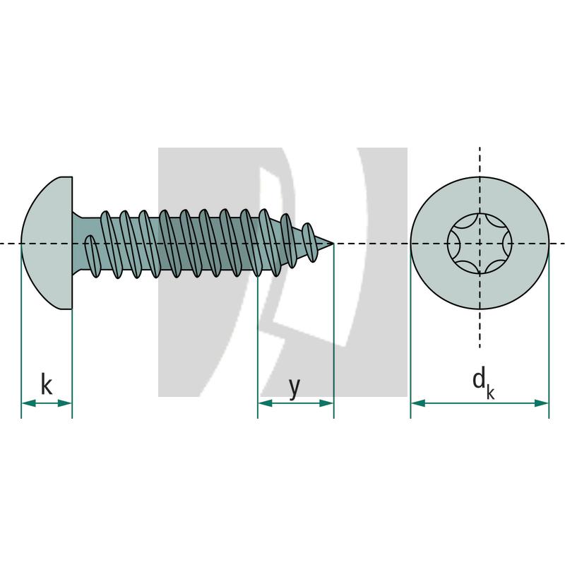 Linsen-Blechschraube 4,8x13 DIN 7981