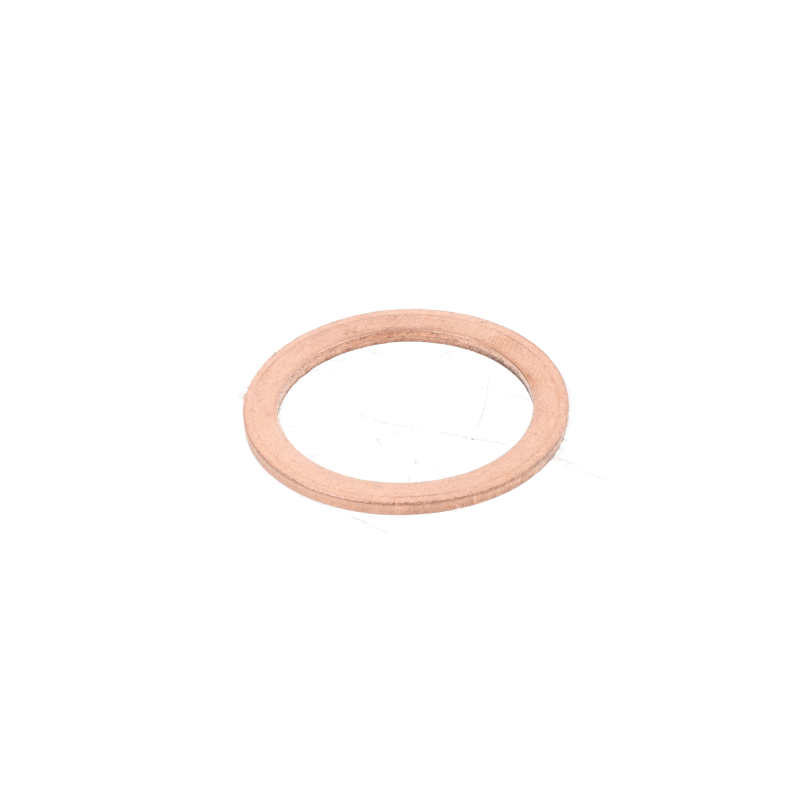 AGCO Dichtring