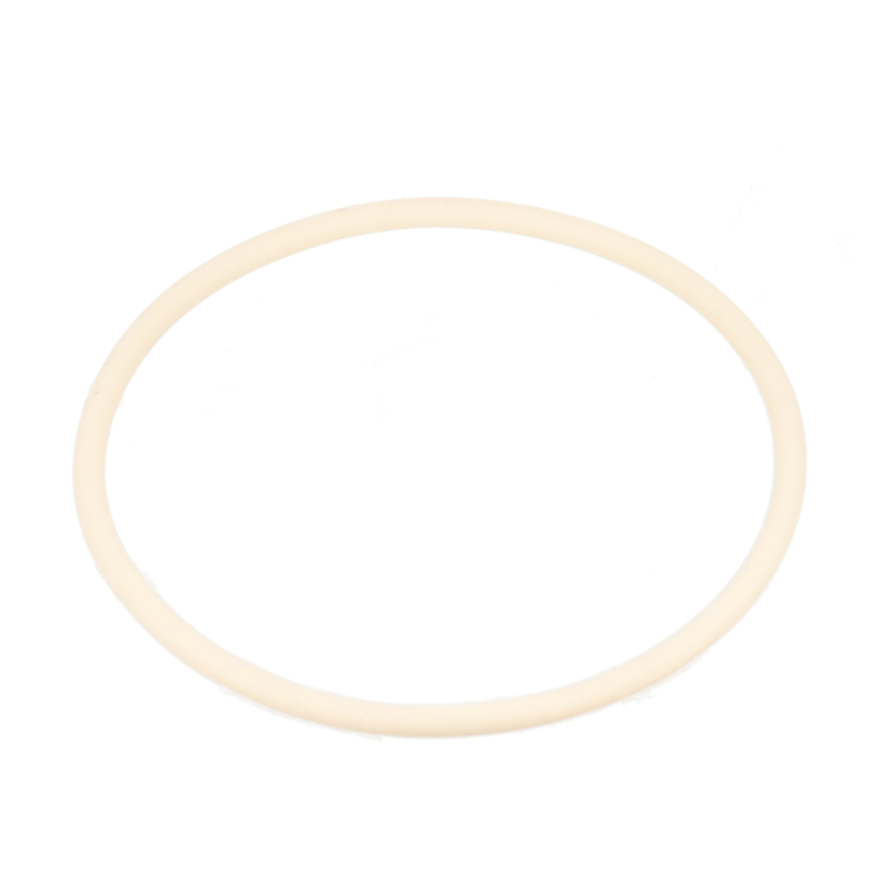 Fendt O-Ring