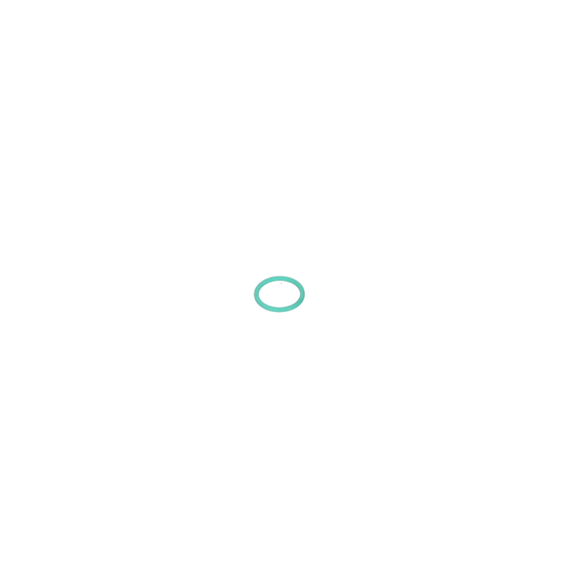 AMAZONE O-Ring 25,00X3,00