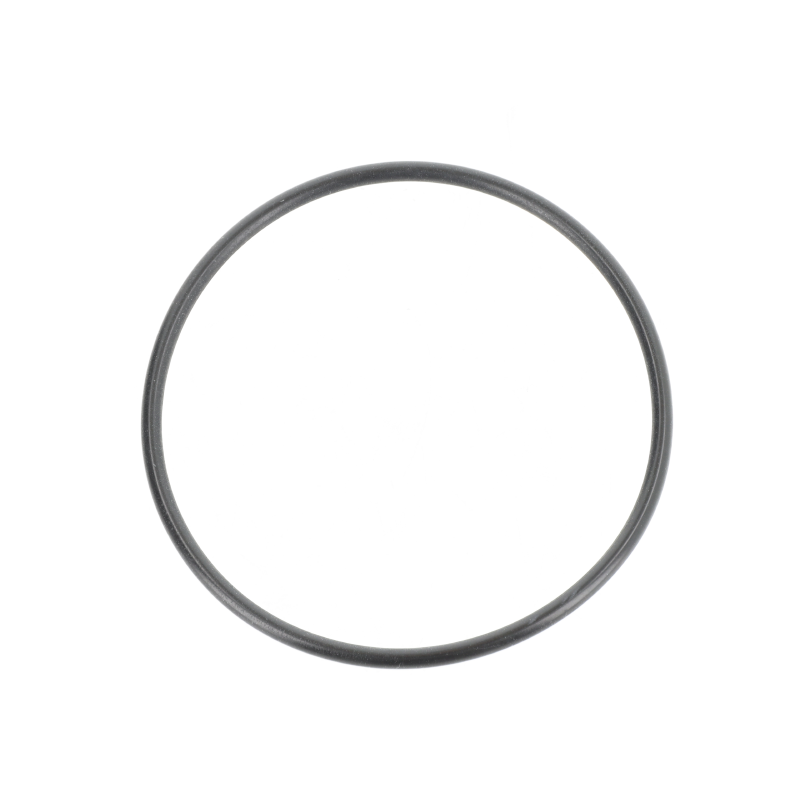 Fendt O-Ring