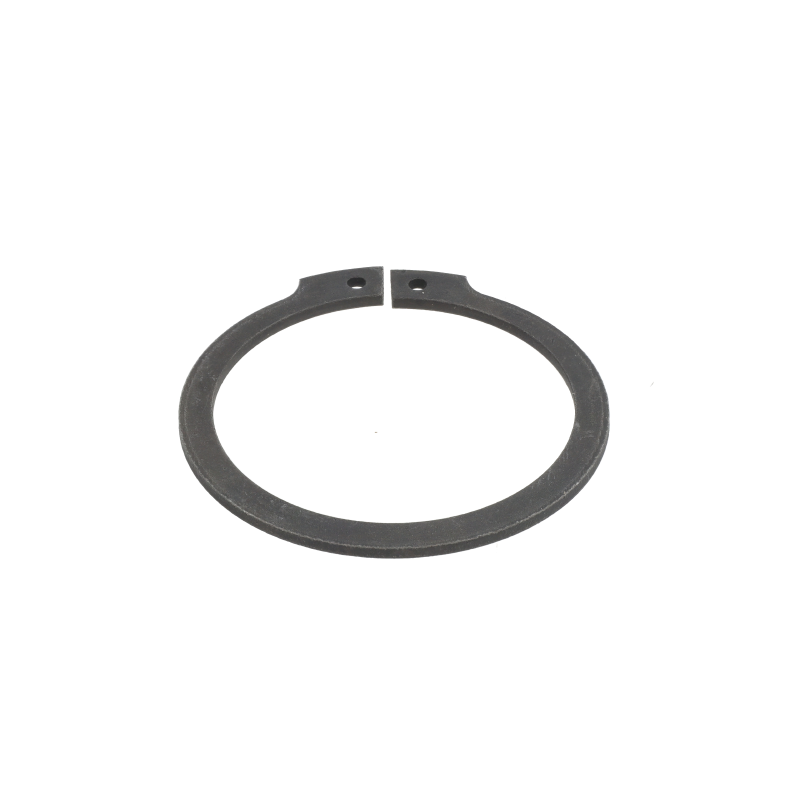 Fendt Sicherungsring