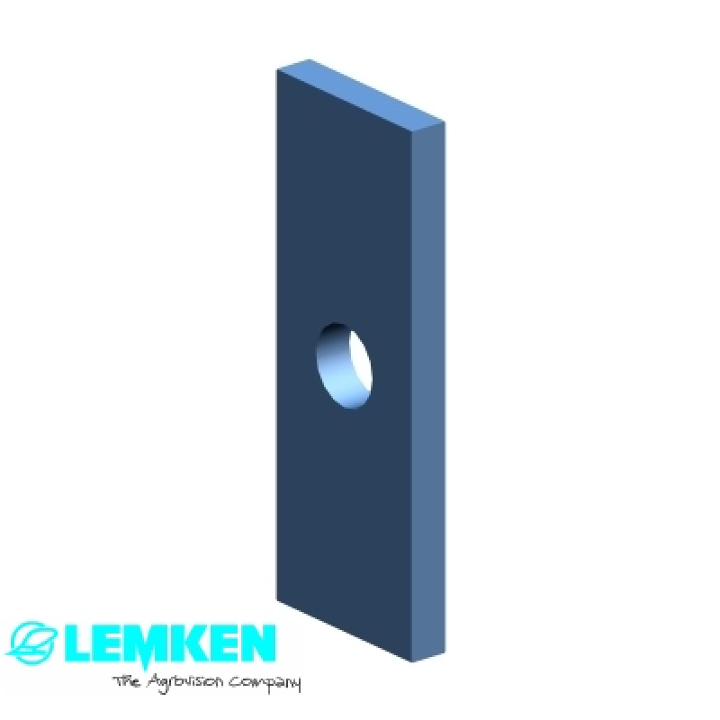 Lasche 30x6x80 1xD12